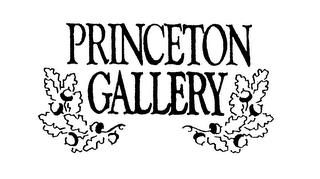 PRINCETON GALLERY logo