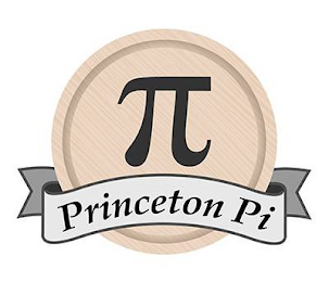 PRINCETON PI logo