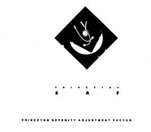 PRINCETON SAF PRINCETON SEVERITY ADJUSTMENT FACTOR logo