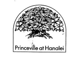 PRINCEVILLE AT HANALEI logo