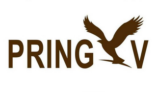 PRING V logo