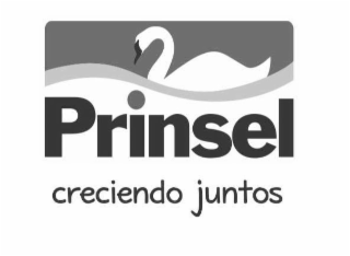 PRINSEL CRECIENDO JUNTOS logo
