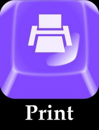 PRINT logo