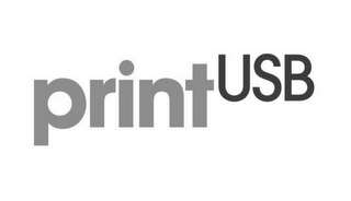 PRINT USB logo