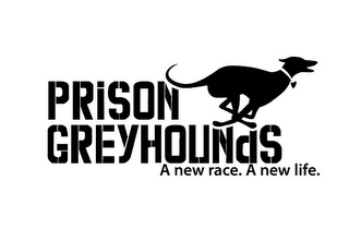 PRISON GREYHOUNDS A NEW RACE. A NEW LIFE. logo