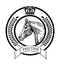 PRISTINE logo