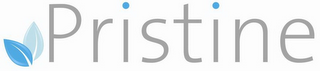 PRISTINE logo