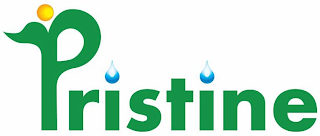 PRISTINE logo