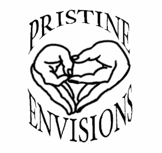 PRISTINE ENVISIONS logo