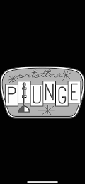 PRISTINE PLUNGE logo