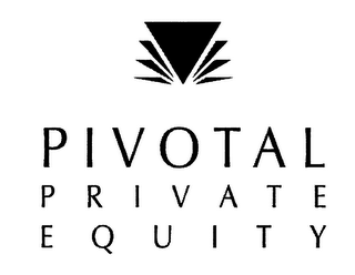 PRIVATE EQUITY logo