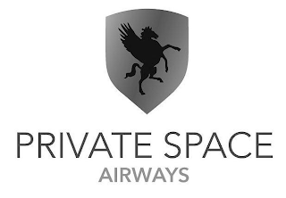PRIVATE SPACE AIRWAYS logo