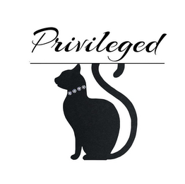 PRIVILEGED logo