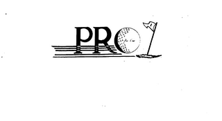 PRO 1 logo
