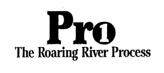 PRO 1 THE ROARING RIVER PROCESS