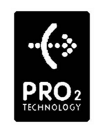PRO 2 TECHNOLOGY logo