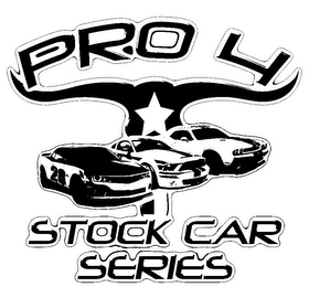 PRO 4 STOCK CAR SERIES logo