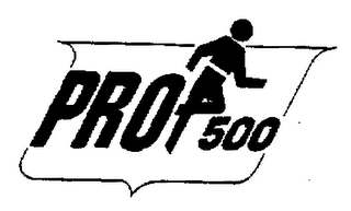 PRO 500 logo