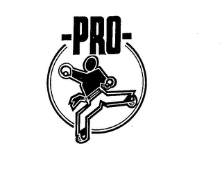 PRO logo