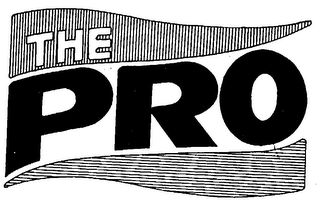 PRO logo