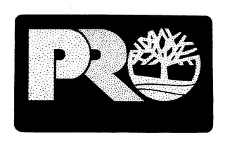 PRO logo