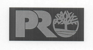 PRO logo