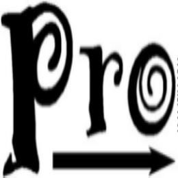 PRO logo