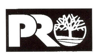 PRO logo