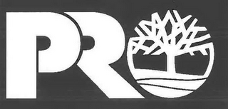PRO logo