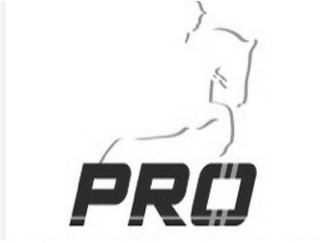 PRO logo