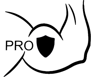 PRO logo