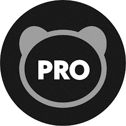 PRO logo