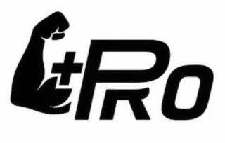 +PRO logo