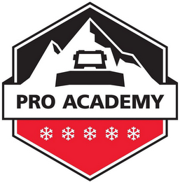 PRO ACADEMY logo