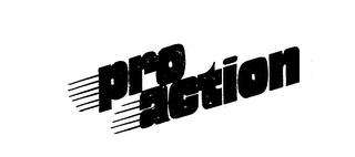PRO ACTION logo