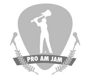 PRO AM JAM logo