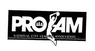 PRO-AM NATIONAL CITY LEAGUES ASSOCIATION, INC. logo