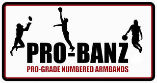 PRO-BANZ PRO-GRADE NUMBERED ARMBANDS logo