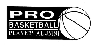 PRO BASKETBALL PLAYERS ALUMNI logo