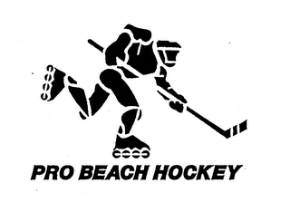 PRO BEACH HOCKEY logo