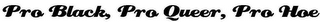 PRO BLACK, PRO QUEER, PRO HOE logo