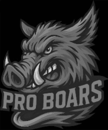 PRO BOARS logo