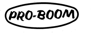 PRO-BOOM logo
