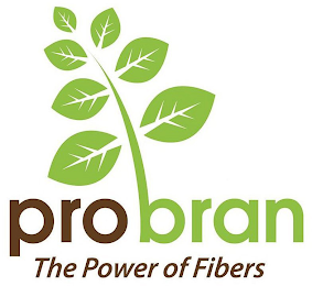 PRO BRAN THE POWER OF FIBERS logo