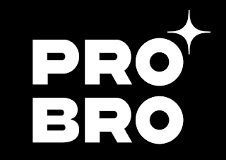 PRO BRO logo