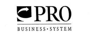 PRO BUSINESS SYSTEM logo