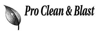 PRO CLEAN & BLAST logo