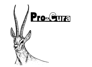 PRO-CURA logo