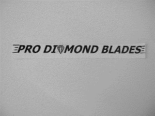 PRO DIAMOND BLADES logo