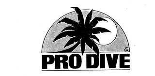 PRO DIVE logo